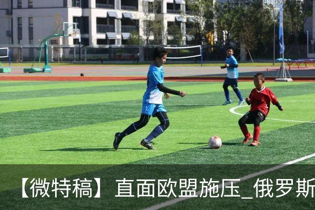 【微特稿】直面欧盟施压 俄罗斯与斯洛伐克欲加强合作