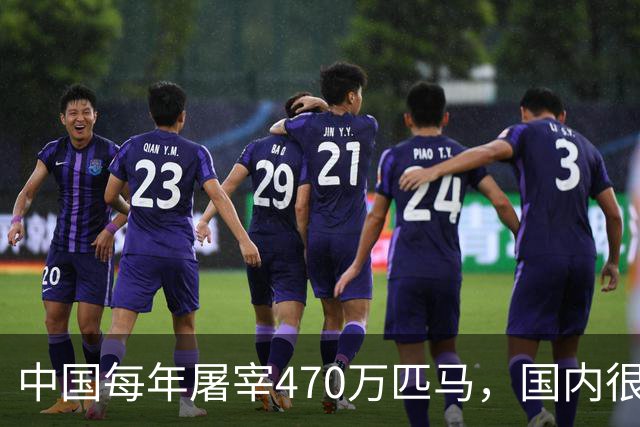 中国每年屠宰470万匹马，国内很少人吃，马肉都去哪了？