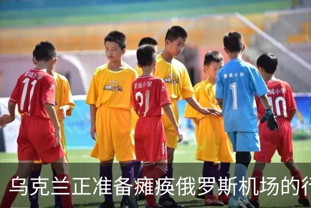 乌克兰正准备瘫痪俄罗斯机场的行动，至少250架无人机袭击莫斯科