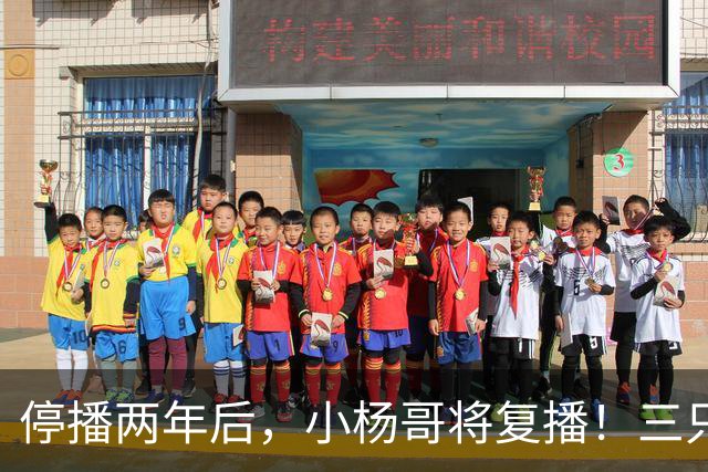 停播两年后，小杨哥将复播！三只羊曾转战海外签约无语哥