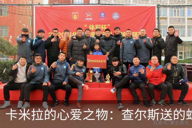 卡米拉的心爱之物：查尔斯送的蛇形项链，戴了20多年和她绝配