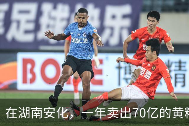 在湖南安化，一年卖出70亿的黄精，到底哪些人在买