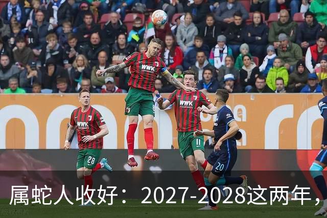 属蛇人收好：2027-2028这两年，日子要换写法了