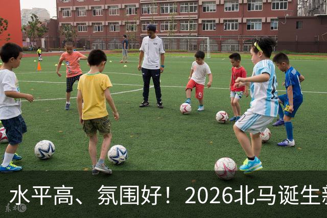 水平高、氛围好！2026北马诞生新纪录，赛事组织获选手认可