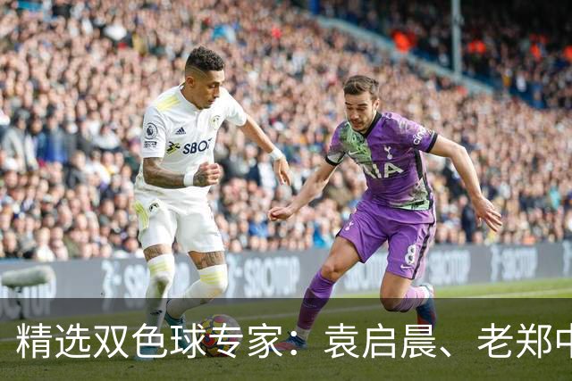 精选双色球专家：袁启晨、老郑中一等奖1033万！