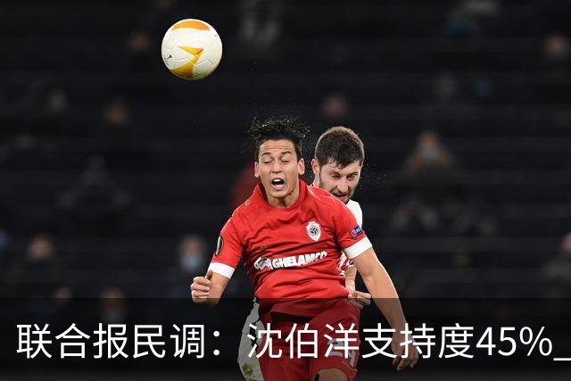 联合报民调：沈伯洋支持度45% 略胜蒋万安41%