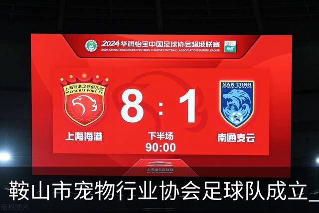 鞍山市宠物行业协会足球队成立 暨首场行业足球交流赛举行